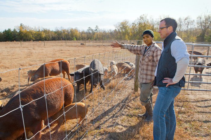 Southern farmers in the backcountry