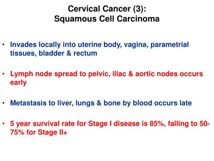 Cervical cancer hesi case study