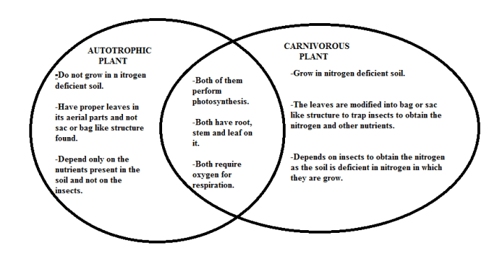 Venn diagram plants and animals