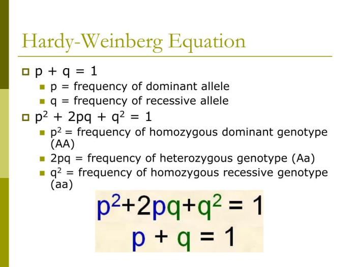 Hardy weinberg equation pogil answer key