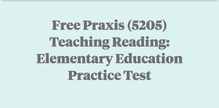 Free praxis 5205 practice test