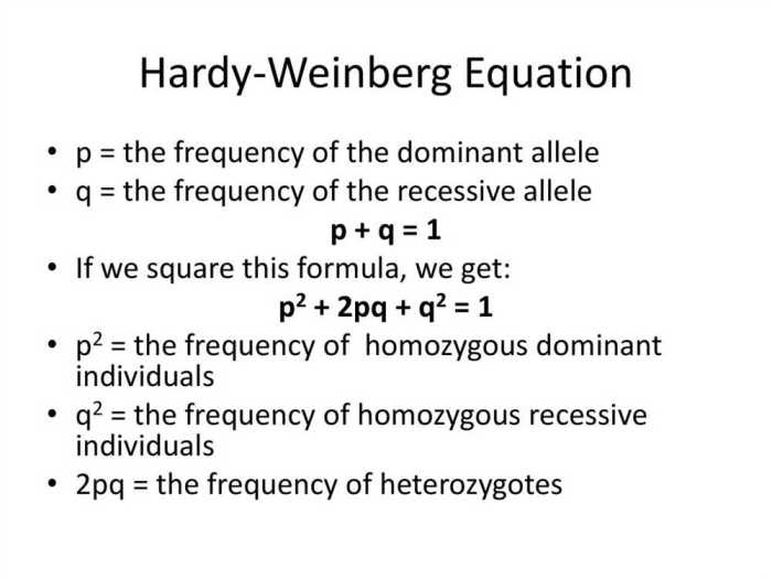 Hardy weinberg equation pogil answer key