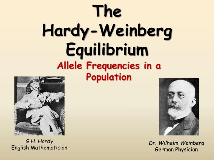 Weinberg equation pogil independently obstetrician principles wilhelm describing