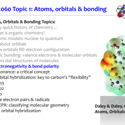 Polar bears and penguins electronegativity and polarity