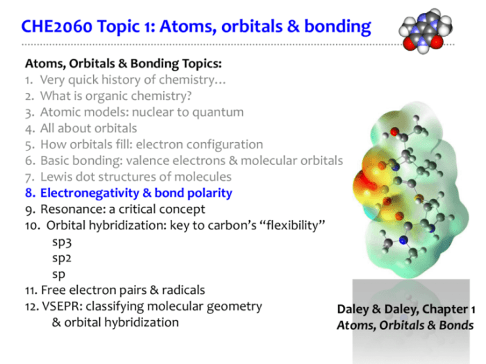 Polar bears and penguins electronegativity and polarity