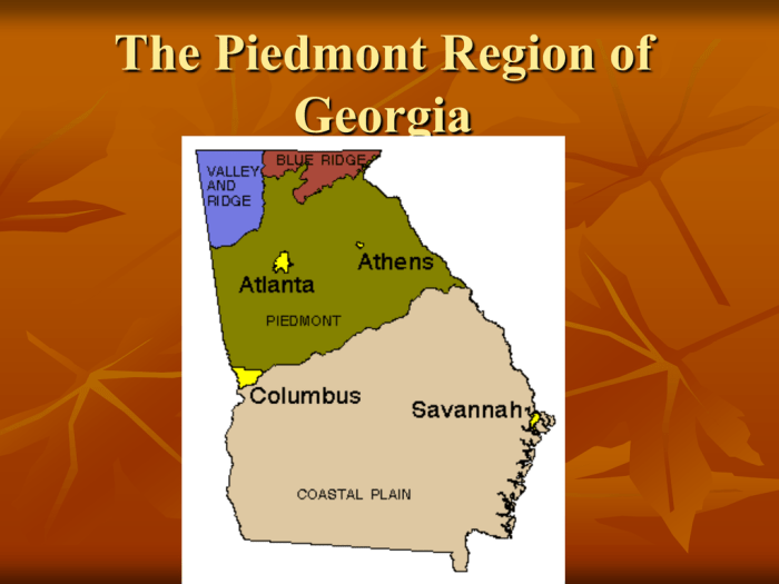 Piedmont georgia region