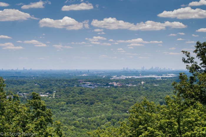 Piedmont region of georgia economic contributions