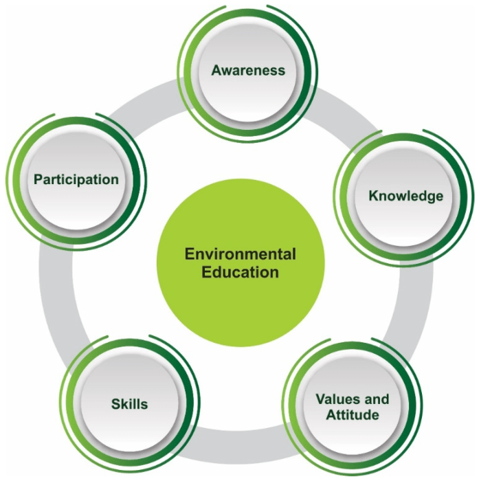 Prentice hall brief review the living environment