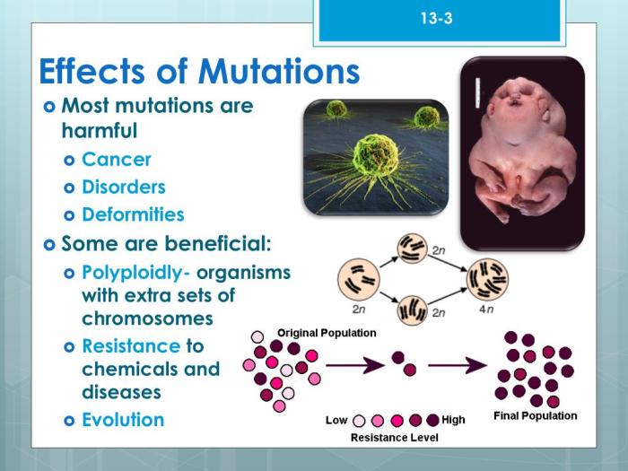 Which of the outcomes could potentially result if a mutation